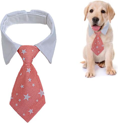 Cat Necktie و Dog Necktie ، يمكن ضبطها وفقًا لمحيط الرقبة للحيوانات الأليفة ، هو بالتأكيد أكثر الحيوانات الأليفة وسيمًا لحفلات أعياد الميلاد وحفلات الزفاف والتصوير الفوتوغرافي. (أزرق ، كبير) in Kuwait