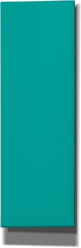 Epic Art Group Artist Poly/Cotton Stretched Gloss White Canvas, 20"x60"x1.5" Great for Acrylic in Saudi Arabia