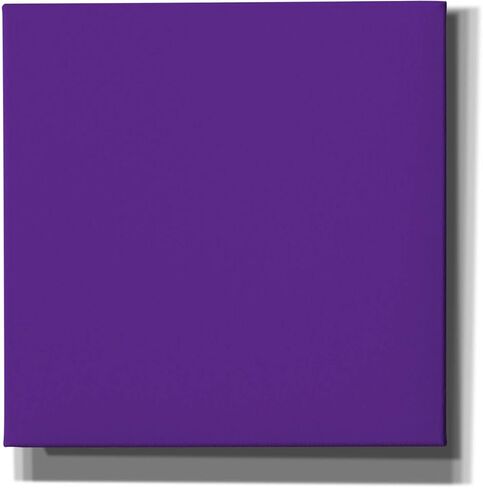 Epic Art Group Artist Poly/Cotton Stretched Gloss White Canvas, 20"x60"x1.5" Great for Acrylic in Saudi Arabia