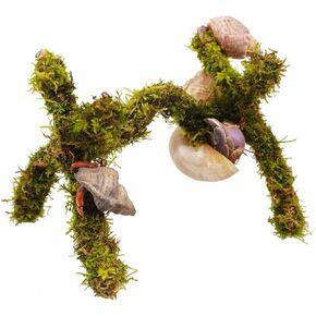 Hermit Crab Accessories, Adjustable Hermit Crab Climbing Toys（6 Inch）