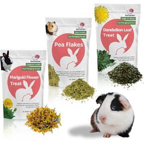 Snout and Shell Small Animal Treats – Pea Flakes, Dandelion Leaf (1oz), Marigold Flowers (0.5oz) – Natural Foraging Snacks for Rabbits, Guinea Pigs, Chinchillas, Hamsters & More