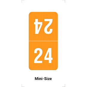 2024 MINI Top Tab Year Stickers, Orange, Compatible with Smead, Doctor Stuff 2024 Chart Stickers, USA Made Year Labels for Top Tab File Folders, 500/Roll, 1 Roll, 1/2" x 1" - Small Labels