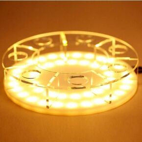 ASUKATVT Shenron Action Figure Shenlong Acrylic Shelf Charging Light(Light Shelf)