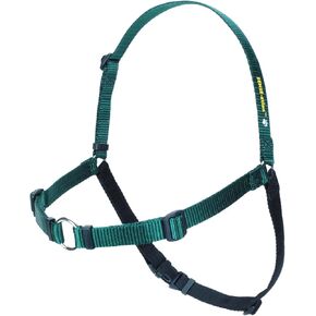 The Original SENSE-ation No-Pull Dog Training Harness - Extra Small (Green/Narrow)