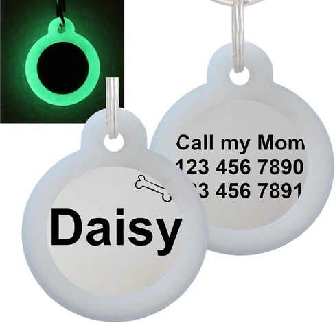 Double Sided Laser Etched Stainless Steel Pet ID Tag for Dog and Cat Engraved and Personalized 1" Round Shape (Silencer Only) in Saudi Arabia
