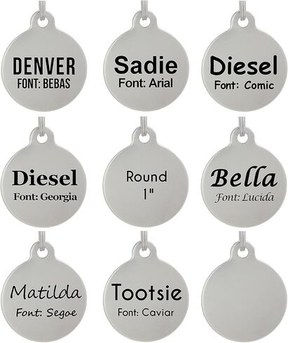 Double Sided Laser Etched Stainless Steel Pet ID Tag for Dog and Cat Engraved and Personalized 1" Round Shape (Silencer Only) in Saudi Arabia