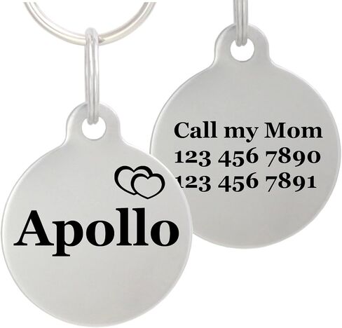 Double Sided Laser Etched Stainless Steel Pet ID Tag for Dog and Cat Engraved and Personalized 1" Round Shape (Silencer Only) in Saudi Arabia