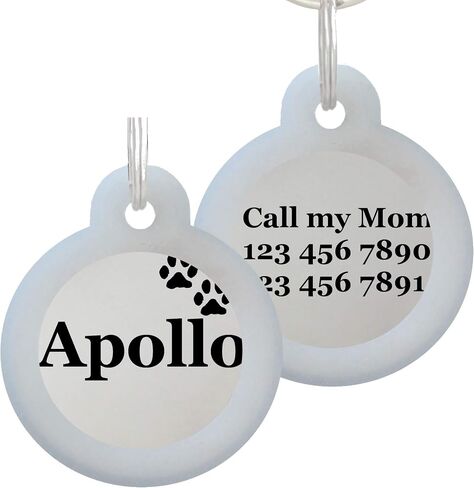 Double Sided Laser Etched Stainless Steel Pet ID Tag for Dog and Cat Engraved and Personalized 1" Round Shape (Silencer Only) in Saudi Arabia