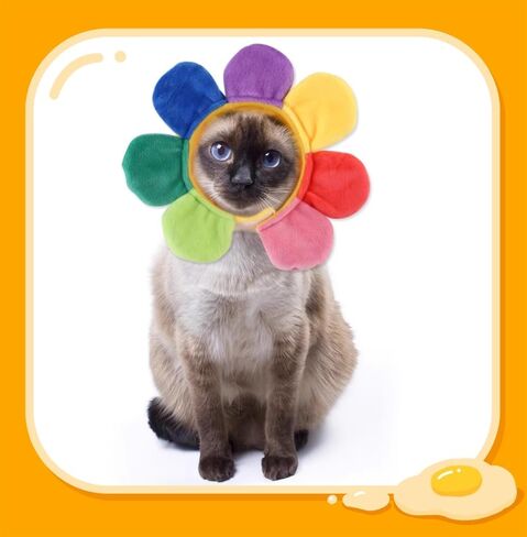 5 Pieces Cat Hat Adorable Cat Costume Outfit Bunny Hat with Ears Funny Mane Hat for Cats and Small Dogs Kitten Puppy Party Costume Accessory Headwear (Brown Bear-Flower-Starfish-Rabbit-Strawberry) in Kuwait