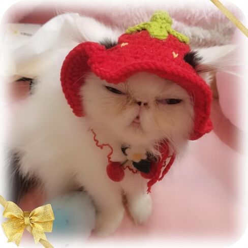 5 Pieces Cat Hat Adorable Cat Costume Outfit Bunny Hat with Ears Funny Mane Hat for Cats and Small Dogs Kitten Puppy Party Costume Accessory Headwear (Brown Bear-Flower-Starfish-Rabbit-Strawberry) in Kuwait