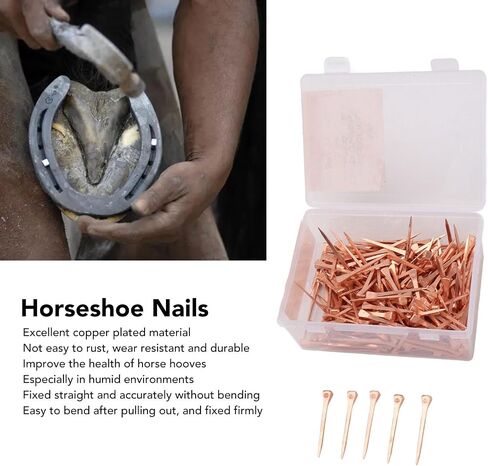 250pcs مسامير حدوة حدوة حصان ، أدوات حدوة الحصان المطلية بالنحاس لتدريب الخيول على ركوب الفروسية الرياضية (47.5 ملم) in Kuwait