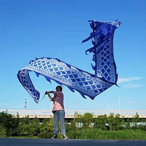 19.6 قدم (6 أمتار) قوس قوس قوس قوس التنين Dragon Dance Poi ، في الهواء الطلق في اللياقة البدنية التنين تدفق لعبة التنين الشبيهة بحرير الحرير (نمط تنين عشوائي) in Kuwait