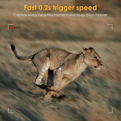 كاميرا XJwecavi Trail مع رؤية ليلية نشطة مقاومة للماء IP66 32MP 2.7K HD بدون توهج بالأشعة تحت الحمراء LED 2.0 بوصة LCD لمراقبة الحياة البرية في الهواء الطلق، كاميرات ألعاب كاميرا الصيد مع بطاقة مايكرو 32 جيجا مجانًا in Kuwait