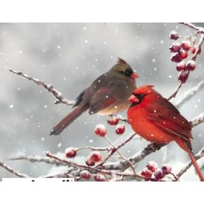 Set of 2 Individual Decoupage Paper Party Napkin Xmas Cardinal Birds Winter Snow Watercolor Decor Luncheon Napkins for a Birthday Holiday, Wedding, Cocktail Party