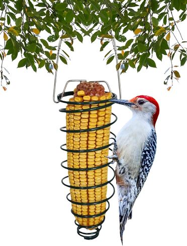 Corn Caddy Squirrel Feeder - Metal Holder for Corn Cobs, Fruit Slices, Suet, or Nesting Materials - Hanging Multi Use Holder for Squirrels and Jays in Kuwait