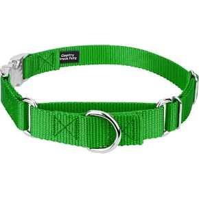 Country Brook Petz - Hot Orange Heavyduty Nylon Martingale with Premium Buckle - 30+ Vibrant Color Options (1 Inch, Medium)