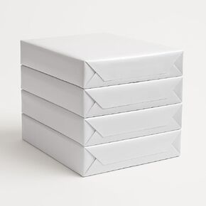 4 Pack: Multipurpose Copy Fax Laser Inkjet Printer Paper, 8 1/2 Inch X 11 Letter Size, 20 Lb, 96 Bright White, Acid Free, Ream, 500 Sheets Each (2,000 Sheets Total)