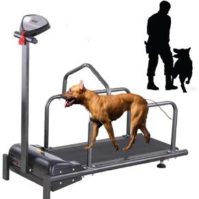 Pet Treadmill,Animal Treadmill,Puppy Treadmill,Indoor Exercise,Pet Fitness Equipment with Display,Very Quiet Operation,Suitable for Small Dog Exercise and Weight Loss