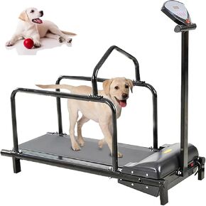 Pet Treadmill,Dog Running Training Machine,Indoor Exercise,Dog Treadmill,Animal Supplies,Adjustable Speed,Suitable for Small Dog Exercise and Weight Loss