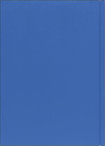 'Essentials' 12 Month Mid/Academic Year Planner, July 2025-July 2026 - ESSA41M.50-2526 - Day-to-Page Appointments Diary, A4 Hard Cover, Pink in Kuwait