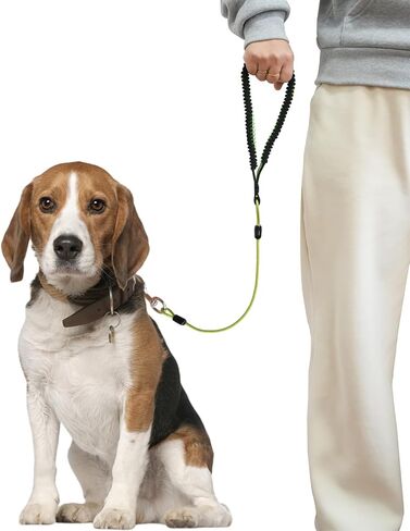 Heavy Duty Dog Leash, Chew Proof Metal Leash for Large Dogs (Up to 250lbs), WireRope Dog Leashes with Soft Silicone Grip (Green, 3 FT) in Saudi Arabia