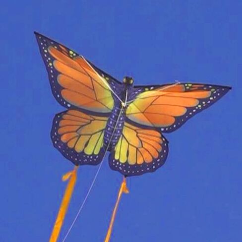 WindNSun Butterfly Nylon Kite, 32 Inches Wide in Kuwait