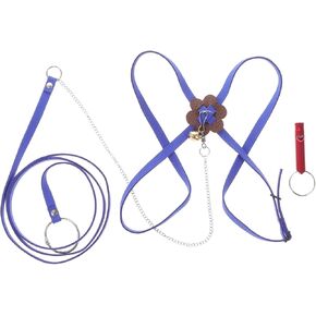 TOYANDONA 1Pc Pet Pulling Rope for Tortoise Lightweight Hauling Leash for Outdoor Use Tortoise Walking Harness for Pet Safety and Easy Control