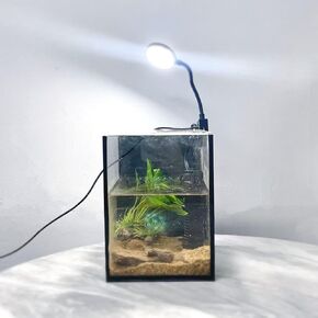 Mini Aquarium Set Fish Tank Shrimp Tank Snails Tank Planted Tank 1.2 Gallon Aquarium Kit, Small Desktop Fish Tank for Small Aquatic Pets for Beginner