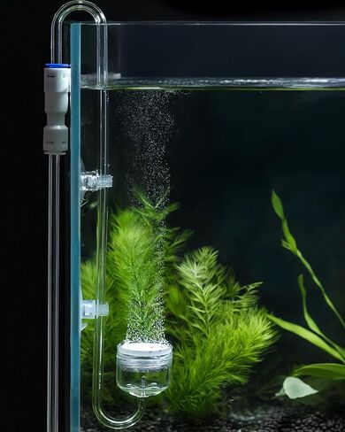 ناشر CO2 Aquarium CO2 Pawfly ، ناشر CO2 من الفولاذ المقاوم للصدأ من الحوض مع صمام فحص مدمج وأكواب شفط لنباتات حوض السمك ، وتوصل خزان السمك مع قرص خزفي محسن in Saudi Arabia