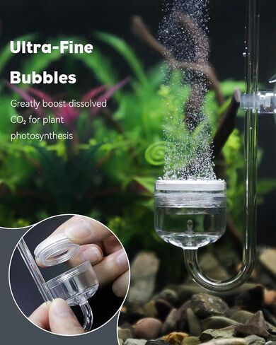 ناشر CO2 Aquarium CO2 Pawfly ، ناشر CO2 من الفولاذ المقاوم للصدأ من الحوض مع صمام فحص مدمج وأكواب شفط لنباتات حوض السمك ، وتوصل خزان السمك مع قرص خزفي محسن in Saudi Arabia