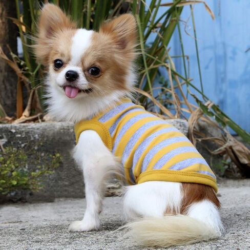 LOPHIPETS 100% Cotton Striped Dog Shirts for Small Dogs Chihuahua Puppy Clothes Tank Vest-Yellow and Gray Strips/L in Saudi Arabia