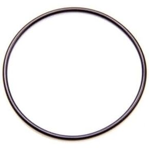 RRC1003 RRC-1003 O-Ring for CT-1 Plate RRC-1003