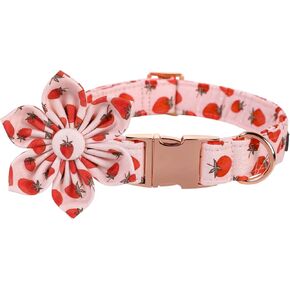 Lionet Paws Boy Dog Collar with Bowtie, Comfortable Adjustable Cute Navy Blue Bow Tie Collar for Male Dogs Gift, Medium, Neck 13.5-22 inches