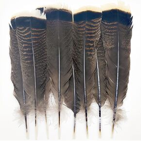 GOODIY Natural Long Feathers 12Pcs 8-10 inches（20-25cm）Beautiful Natural Turkey Feathers Bilateral Large Feathers Decorative Feathers for Clothing, Hats, Wings, Handmade DIY (Turkey feather-8-10in)