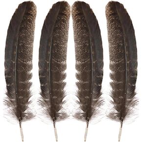 GOODIY Natural Long Feathers 12Pcs 8-10 inches（20-25cm）Beautiful Natural Turkey Feathers Bilateral Large Feathers Decorative Feathers for Clothing, Hats, Wings, Handmade DIY (Turkey feather-8-10in) in Kuwait