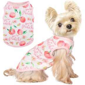 Dog Shirt Vest Dog Clothes for Small Dogs Boy Girl Stretchy Summer Puppy T-Shirts Soft Breathable Lightweight Puppy Sweatshirt Pet Cat Outfit (Avocado, Small)