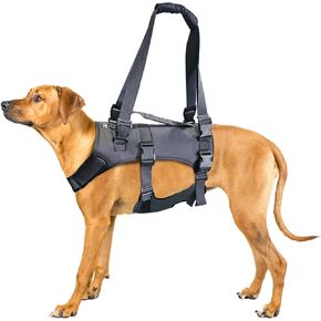 Doggie Stylz Dog Lift Harness for Large Dogs Full Body Support Sling Dog Carrier has Adjustable Handles Recovery Vest for Senior Dogs, Arthritis Joint Injuries, Mobility Aid Back Leg Support (Large)