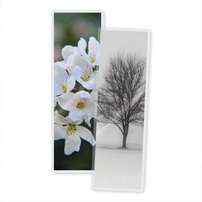 TruLam 3 Mil Laminating Pouches with Rounded Corners | Bookmark Medium Size | 2-1/2 in. x 7-3/4 in. | Glossy Finish | Premium Adhesive for High-Clarity | 2 Carriers Included | 100 Pack