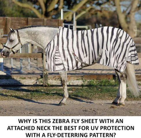 Schneiders Soft Interlock Mesh II Zebra Horse Fly Sheets | نمط حمار وحشي لافت للنظر للادعاء الذبابة وحماية الأشعة فوق البنفسجية المتفوقة in Kuwait