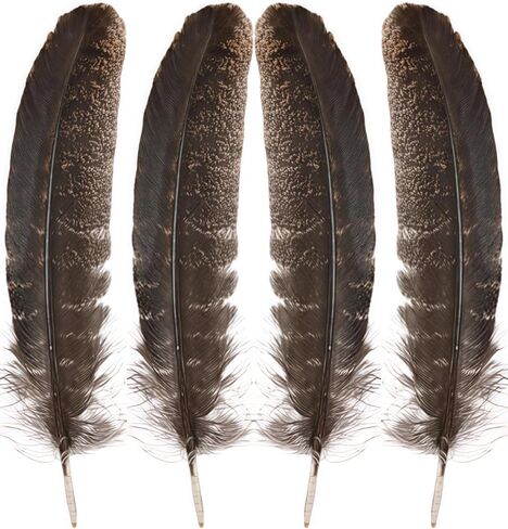 GOODIY Natural Long Feathers 12Pcs 8-10 inches（20-25cm）Beautiful Natural Turkey Feathers Bilateral Large Feathers Decorative Feathers for Clothing, Hats, Wings, Handmade DIY (Turkey feather-8-10in) in Kuwait