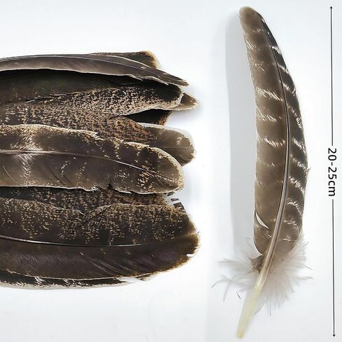 GOODIY Natural Long Feathers 12Pcs 8-10 inches（20-25cm）Beautiful Natural Turkey Feathers Bilateral Large Feathers Decorative Feathers for Clothing, Hats, Wings, Handmade DIY (Turkey feather-8-10in) in Kuwait