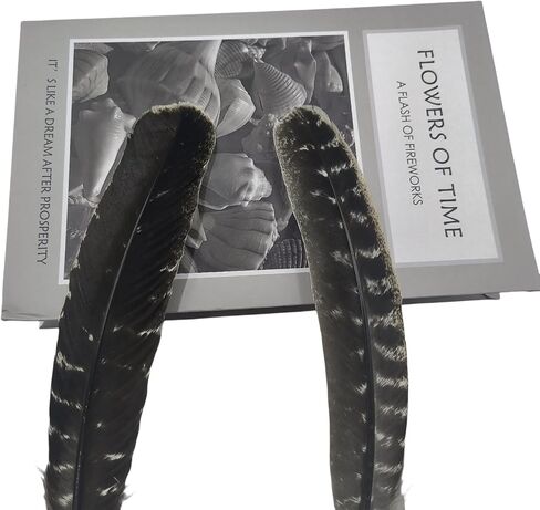 GOODIY Natural Long Feathers 12Pcs 8-10 inches（20-25cm）Beautiful Natural Turkey Feathers Bilateral Large Feathers Decorative Feathers for Clothing, Hats, Wings, Handmade DIY (Turkey feather-8-10in) in Kuwait