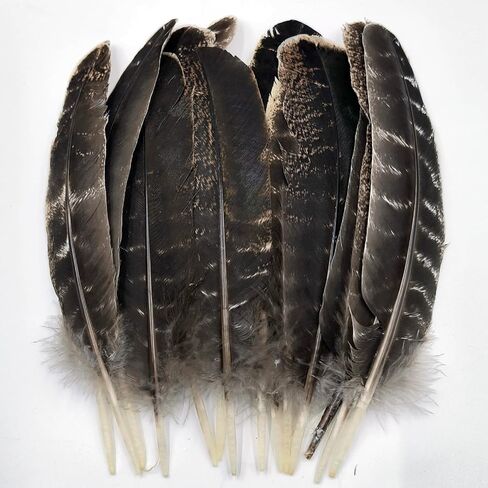 GOODIY Natural Long Feathers 12Pcs 8-10 inches（20-25cm）Beautiful Natural Turkey Feathers Bilateral Large Feathers Decorative Feathers for Clothing, Hats, Wings, Handmade DIY (Turkey feather-8-10in) in Kuwait