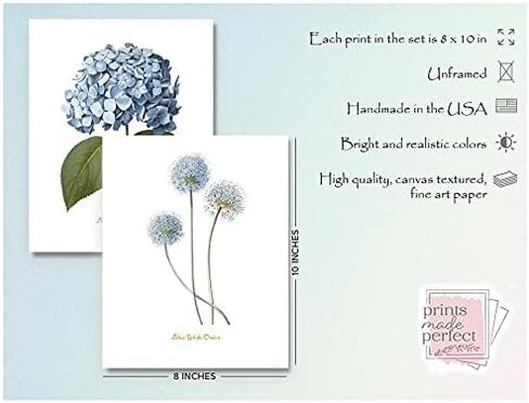 لوحة فنية جدارية على شكل زهرة زرقاء - ديكور حائط زهري عتيق - مطبوعات نباتية - صور زهور بألوان مائية - عمل فني لغرفة النوم، وغرفة المعيشة، والمزرعة - مجموعة من 6-11x14 - غير مؤطرة in Kuwait