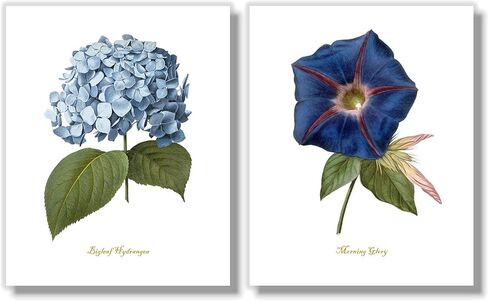 لوحة فنية جدارية على شكل زهرة زرقاء - ديكور حائط زهري عتيق - مطبوعات نباتية - صور زهور بألوان مائية - عمل فني لغرفة النوم، وغرفة المعيشة، والمزرعة - مجموعة من 6-11x14 - غير مؤطرة in Kuwait