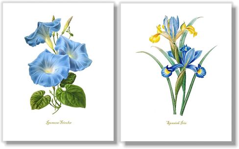 لوحة فنية جدارية على شكل زهرة زرقاء - ديكور حائط زهري عتيق - مطبوعات نباتية - صور زهور بألوان مائية - عمل فني لغرفة النوم، وغرفة المعيشة، والمزرعة - مجموعة من 6-11x14 - غير مؤطرة in Kuwait