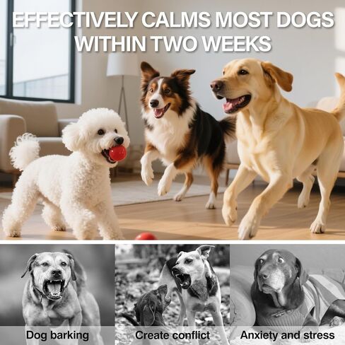 الكلاب الهادئة فيرومونات Diffuser 6 في 1 مراءة الاسترخاء الناشر مع مجموعة PET وظيفة توقيت (3 قابس في +3 إعادة ملء 48 مل) لتخفيف القلق تقليل العدوان النباح الإجهاد (ذوق) in Kuwait