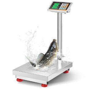 Bonvoisin Digital Platform Scale with Stainless Steel Platform 660LBs Heavy Duty Warehouse Floor Scale for Weighing Packages, Luggage, Suitcases, Boxes (20.4" X 16.5“ Platform)