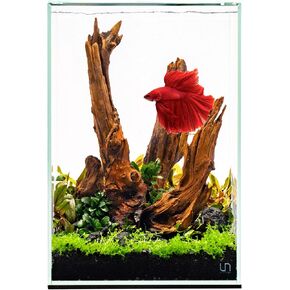 Ultum Nature Systems Prism Rimless Aquarium - Low Iron Glass, Cube With Mitered Lid, Tall Fish Tank, Multi-Purpose Vertical Nano Tank for Home & Office - UNS Prism, 25TM