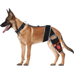 Dog Knee Brace for Torn Acl Hind Leg, Dog Leg Brace for Osteoarthritis, Cruciate Ligament Injury or Recovery After Dog Acl Brace for Back Leg (Medium)